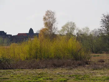 Kalkense Meersen (België)